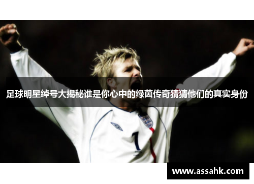足球明星绰号大揭秘谁是你心中的绿茵传奇猜猜他们的真实身份